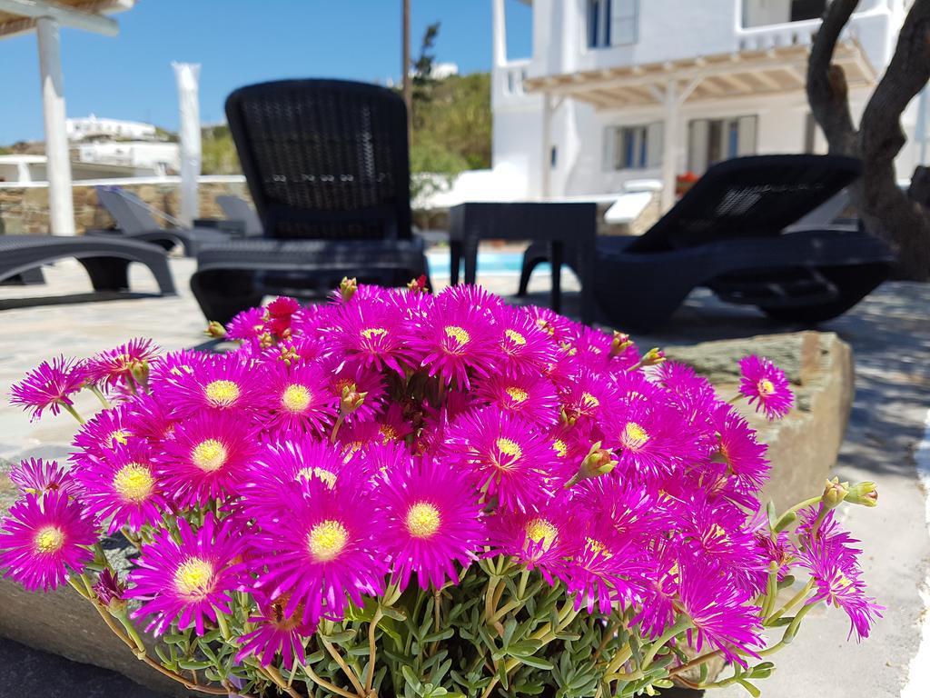Villa Varnali Small Boutique Mykonos Town Экстерьер фото