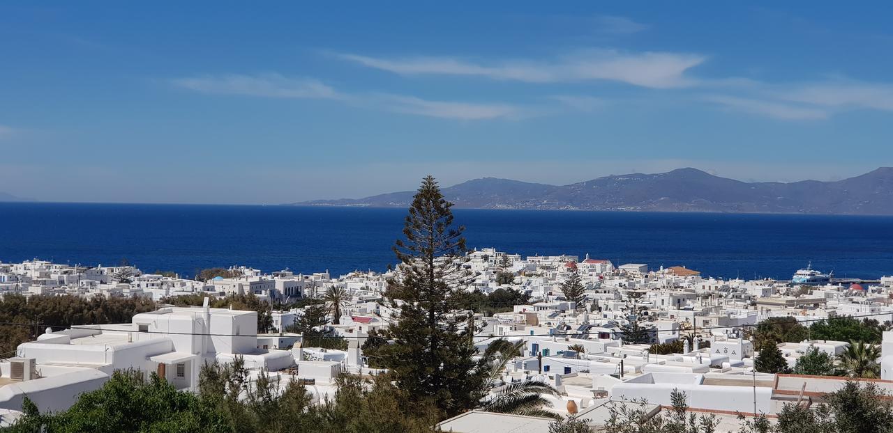 Villa Varnali Small Boutique Mykonos Town Экстерьер фото