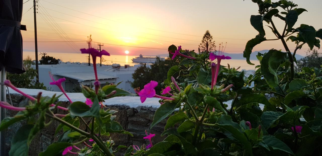 Villa Varnali Small Boutique Mykonos Town Экстерьер фото