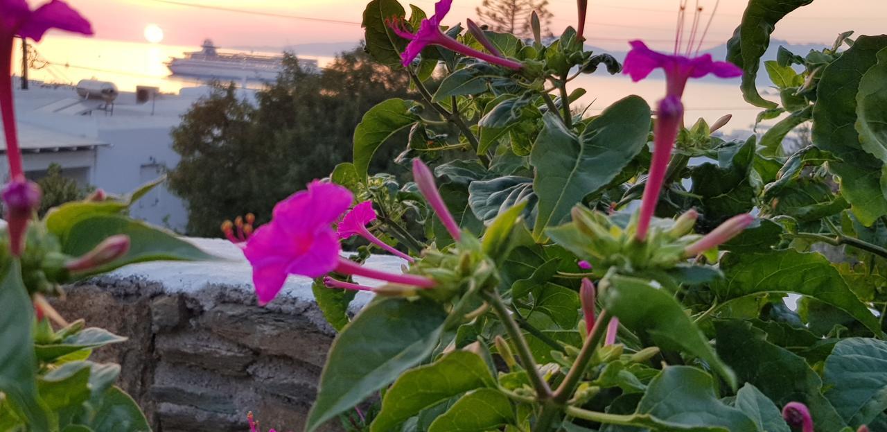 Villa Varnali Small Boutique Mykonos Town Экстерьер фото